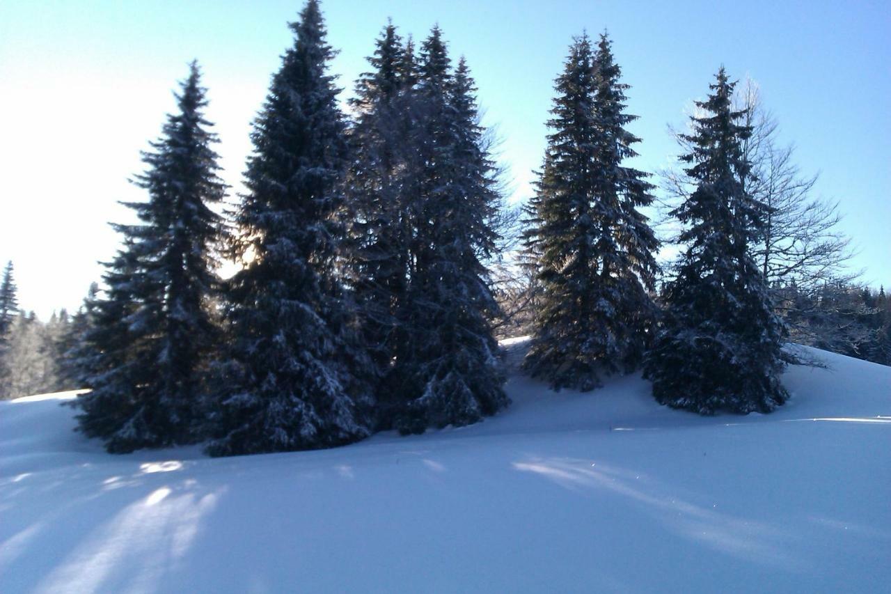 Chalet Daria Преманон Екстер'єр фото