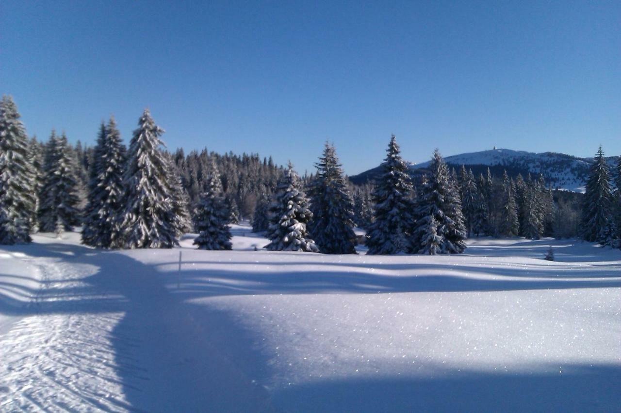 Chalet Daria Преманон Екстер'єр фото